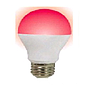 Bulb 6W RGB+Warm White Adjustable